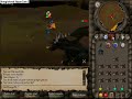 draconic visage drop!!!!!!!!!!!!!!!!!! draconic visage drop!!!!!!!!!!!!!!!!!!