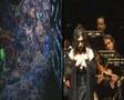 The magic flute - Die Zauber Floete