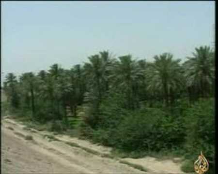شاهد الفيديو