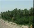Iraq