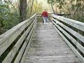 Wait for me! Wait for me!