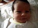 Felipe
