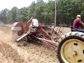 Combining wheat