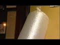 Marijuana-survives-D