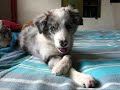 Nia 14 weeks