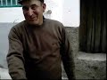 Un holandesino rubino en El Torno, Extremadura.