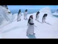 Sveikinimai video