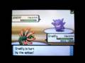 Pokémon Pearl WiFi Battle: Momo
