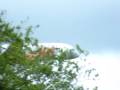 Jet2.com 757-200 landing at aldergrove