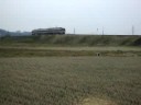 JR Central Kiha85 Hida