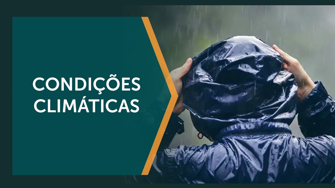 Por que a produtividade parou em algumas regiões do Brasil