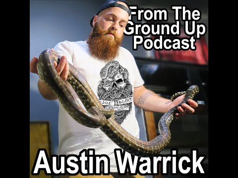 YouTube reptile video