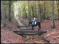 robin en pipin in het bos robin en pipin in het bos