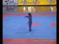 videos de Vovinam Viá»t VÃµ Äáº¡o - Ngu Mon Quyen