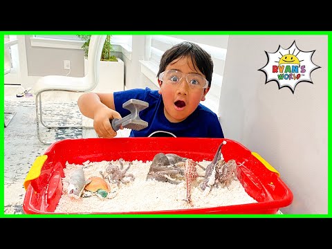 Easy DIY Science Experiment for Kids How to make Dinosaur Fossil Dig Exploration!