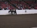 2008 Quarter Horse Congress Senior Western Pleasure 2008 Quarter Horse Congress Senior Western Pleasure