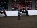 videos de 2008 Quarter Horse Congress Senior Western Pleasure