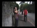 videos de Perspectives