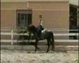Dardo XXXII