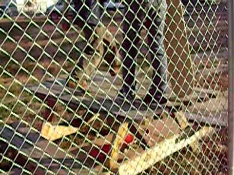 BMX VIDEOS, BIKES, TRICKS, STUNTS, CRASHES