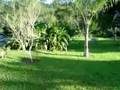 Stephanie`s Small Farm Saquarema