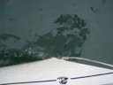 videos voile
