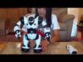 WowWee Robosapien Robot Review