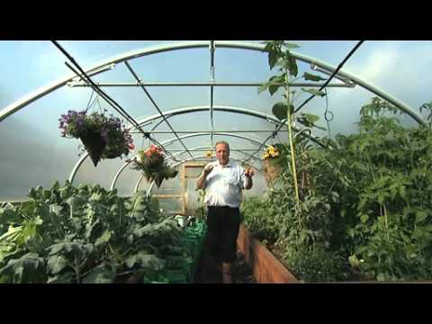 polytunnels - Easy to install and easy to use, irrigation is an option for all sizes of Polytunnels. Not only will it make your life a whole lot easier, an Automatic irrig...