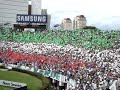 Torcida Palmeiras - Palmeiras minha Vida é Você