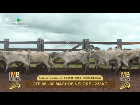 534� LEIL�O VIRTUAL MB LEIL�ES