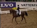 Worl champion dressage Worl champion dressage