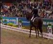 Worl champion dressage
