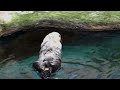 bir tatlı huzur, bir banyo almaya geldim: http://www.youtube.com/watch?v=evuOZo1Hjv4