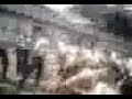 Pelea Tecnica Joaquin Avellan