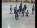 EHC Liwest Linz-Alba Vol�n 2-3