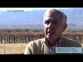 El camino de los vinos tucumanos
