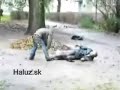 Haluz.sk