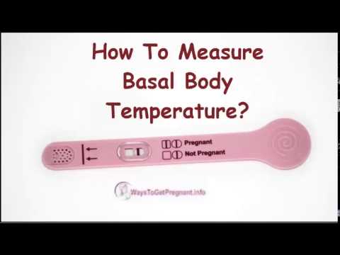 how to measure bbt orally