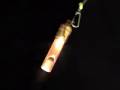 flashing LED whistle