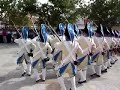 Recreacion batalla de la Albuera