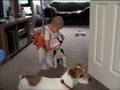 Lyla and the Doggies