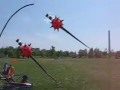 Gomberg Spiky Balls Gomberg Spiky Balls