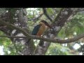 Birds of Sri Lanka (Ceylon) 4 - Sri Lanka Tourism : Visit Sri Lanka 2011