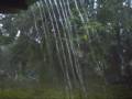 Hurricane Gustav Footage Part 3 - Plaquemine, Louisiana Hurricane Gustav Footage Part 3 - Plaquemine, Louisiana