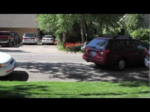 Video Image