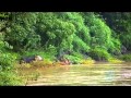 ABC.The.Amazon.of.Asia.the mekong river in laos