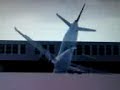 A321 goes nuts at Gatwick (FS2004)
