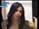عرف المشهد التليفزيوني العربي في السنوات الأخيرة تحولات هامة سواء أن تعلق الأمر بالانفتاح على تجارب إعلامية تكسر حاجز سيطرة التليفزيون الرسمي على البث الفضائي والأرضي أو بظهور قنوات متخصصة في مجالات لم يعهدها المشاهد العربي من قبل، القنوات الموسيقية وبشهادة الكثيرين هي إحدى مظاهر هذا التحول الطارئ على المشهد التليفزيوني، الترفيه والطرب والإمتاع غايات تسعى عشرات القنوات الموسيقية التي ظهرت خلال العقد الأخير ببلوغها ورغم الانتقادات الشديدة التي توجه إليها بإفساد المجتمع وقيمه، فإن إنتاج أغنيات الفيديو كليب يتوسع يوما بعد يوم، بل إن هناك 50 مطربا ومطربة جددا يظهرون شهريا على أكثر من 15 قناة فضائية عربية، منهم: ميلودي، ستريك، نجوم، مزيكا، روتانا، زين، كما يصل حجم إنتاج هذه القنوات إلى آلاف الأغاني شهريا ومع ال