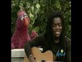 sesame street   questions  tracy chapman 