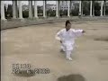 Chinese Kongfu--Wudang boxing